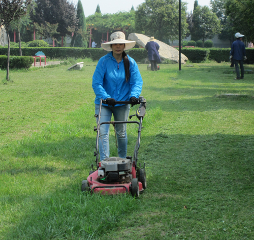 園林養(yǎng)護(hù)五